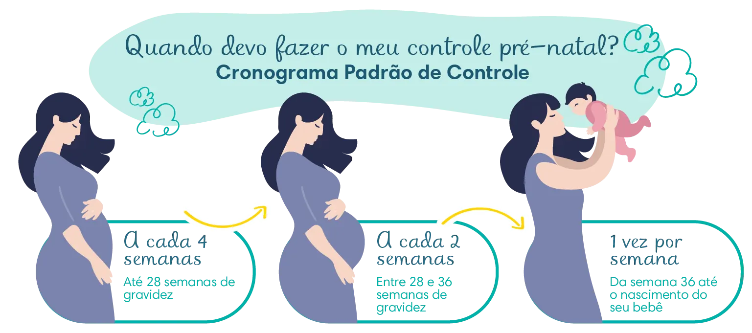 banner tc05 Quando devo fazer o meu controle pré-natal?