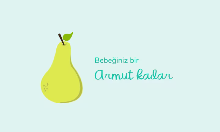Your baby is the size of a pear