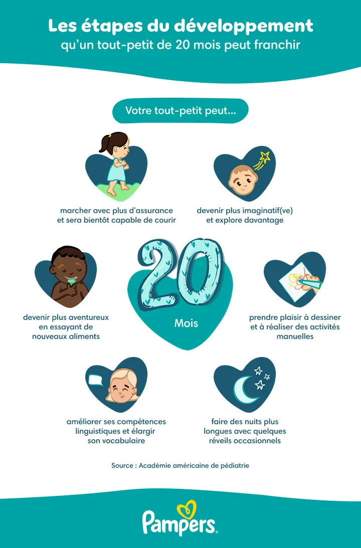 Étapes de développement du tout-petit de 20 mois