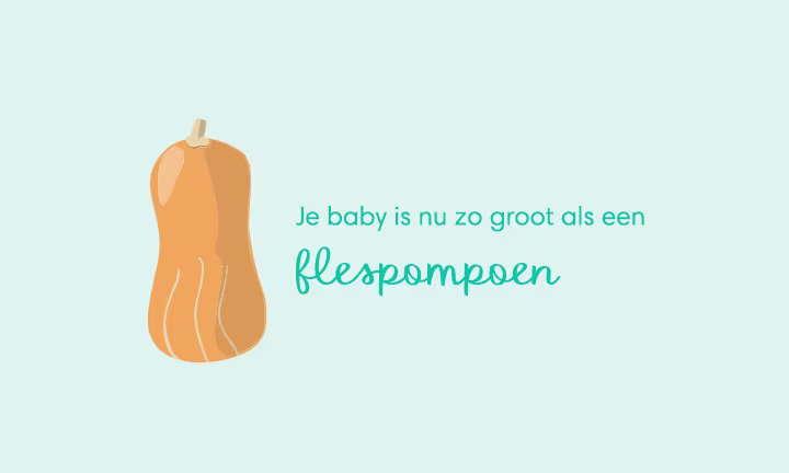 baby size of butternut squash week 29