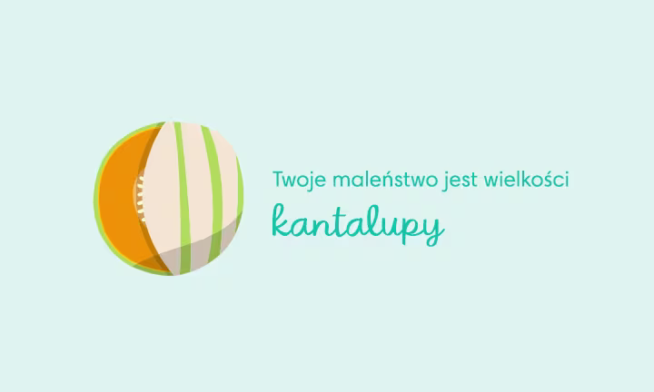 baby size of cantaloupe week 34