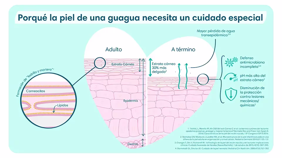 Cuatro pasos de seguridad y calidad que siguen los productos Pampers