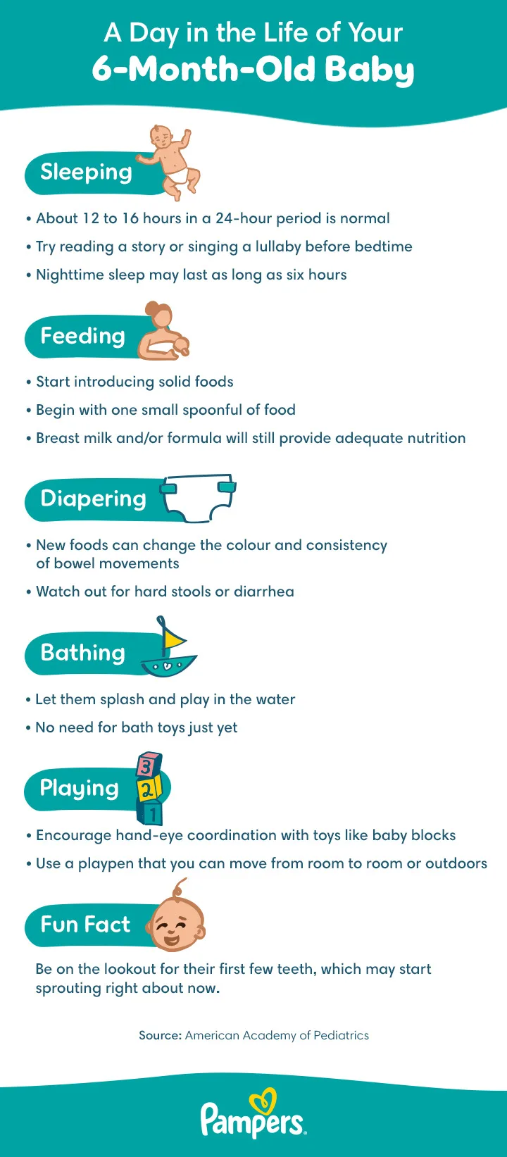 6-month-old baby milestones and schedule