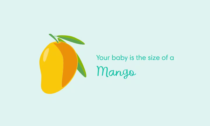 Your baby is the size of a mango