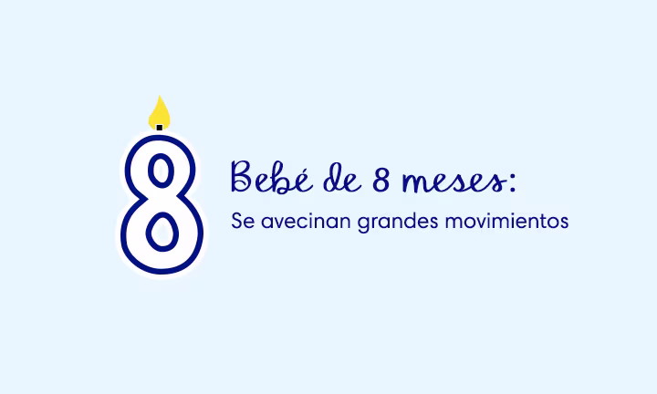 Bebé De 8 Meses