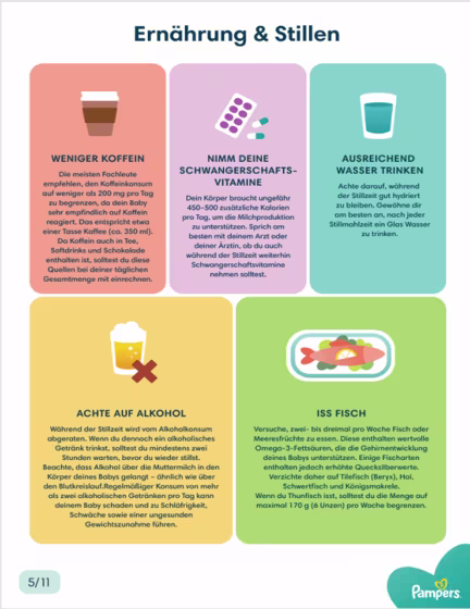 Ernährung & Stillen