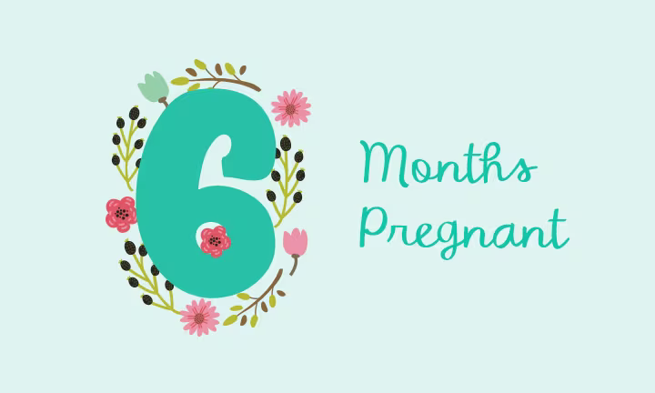6 months pregnant