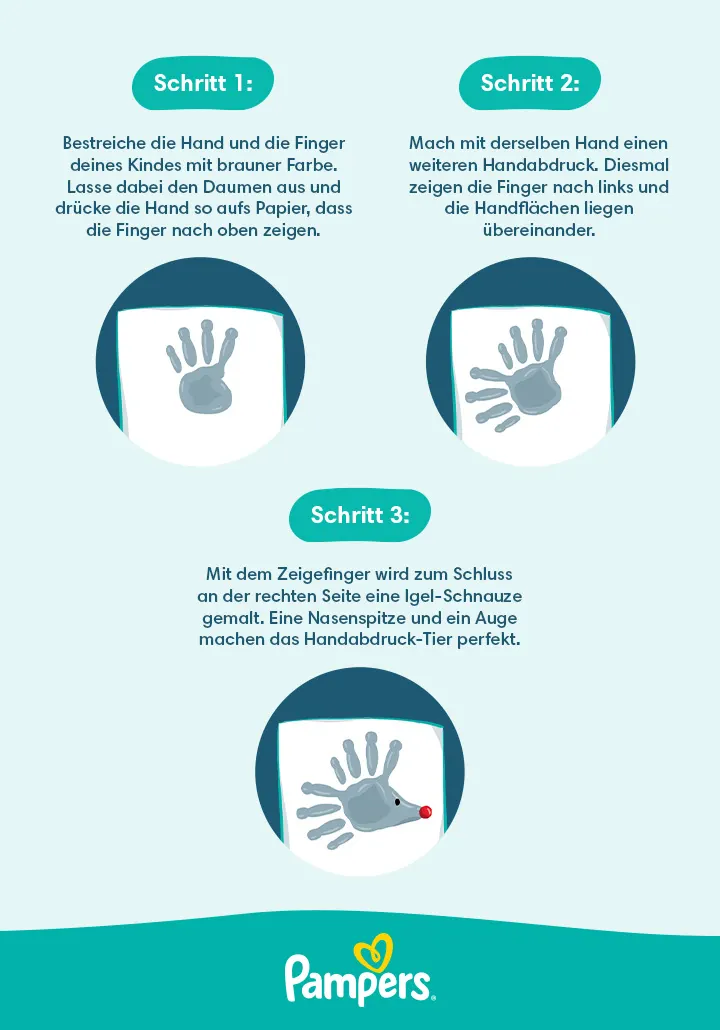 Infografik: Handabdruck Igel