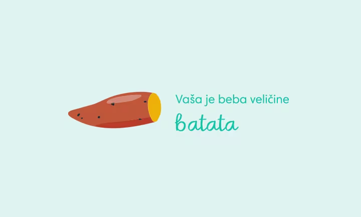 pregnancy-week-by-week-week-18
