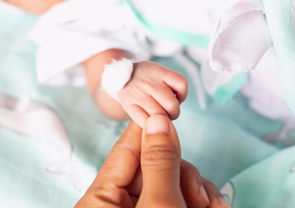 mano de bebé prematuro tomando la mano de su madre mano de bebé prematuro tomando la mano de su madre