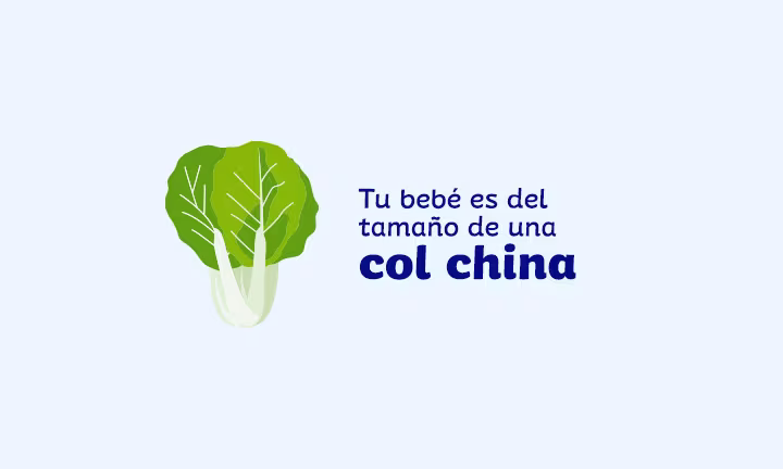 Semana 32 de embarazo