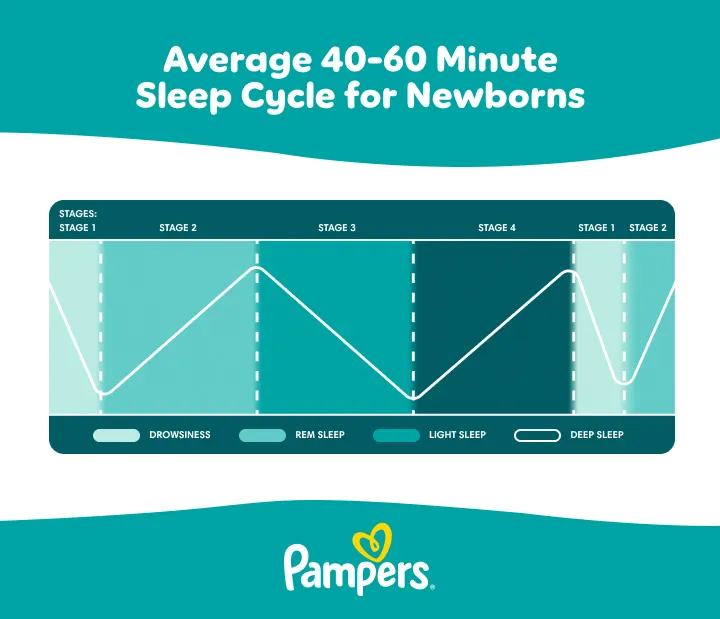 average baby sleep cycle