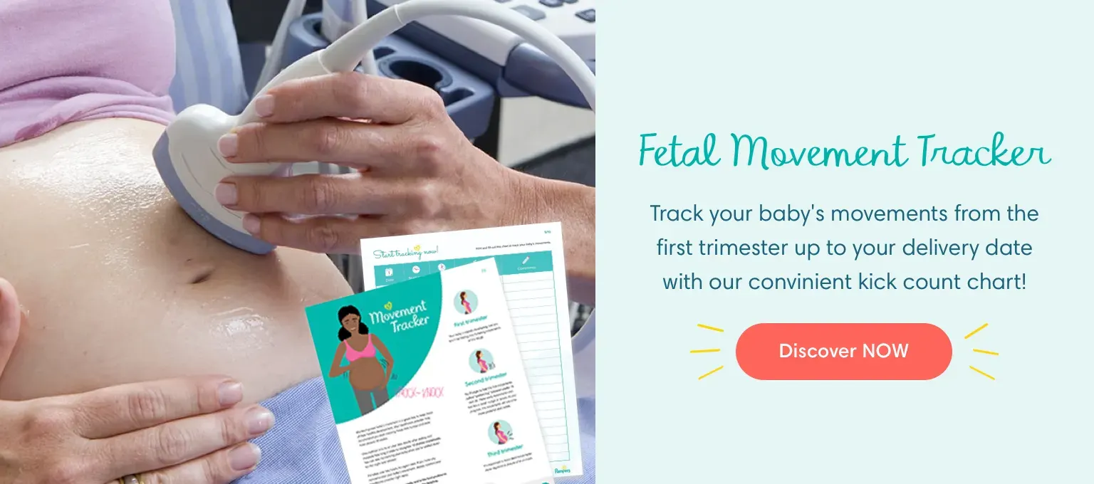 Fetal Movement Tracker Fetal Movement Tracker