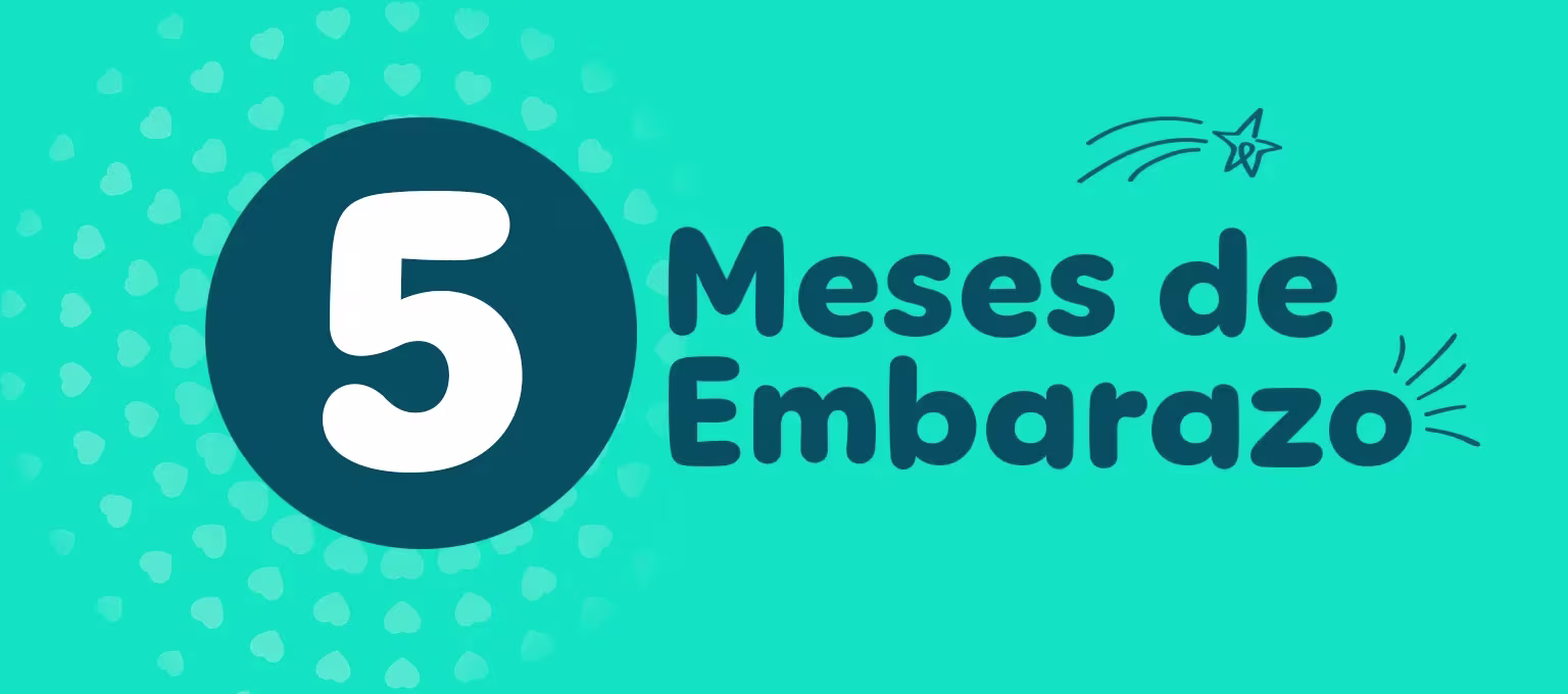 5 meses de embarazo