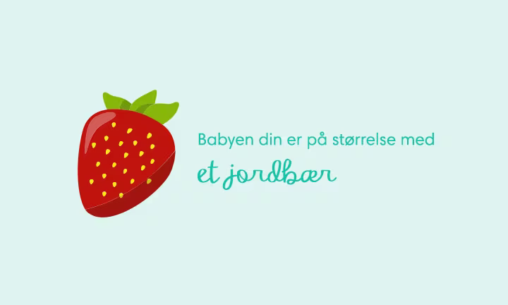 Week 10 pregnancy
