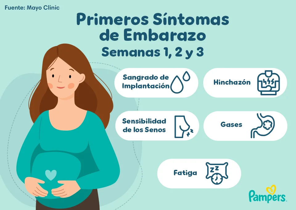 sangrado como saber si estoy embarazada sintomas