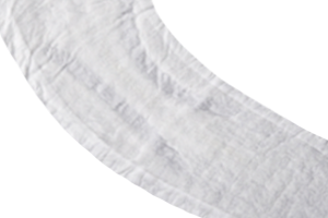 image of the the diaper core