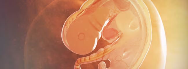 pregnancy-week-by-week-week-5