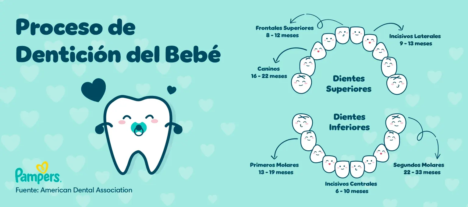 Proceso de dentición del bebé