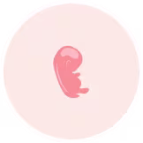 4 month pregnant