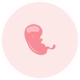 5 month pregnant