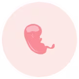 5 month pregnant