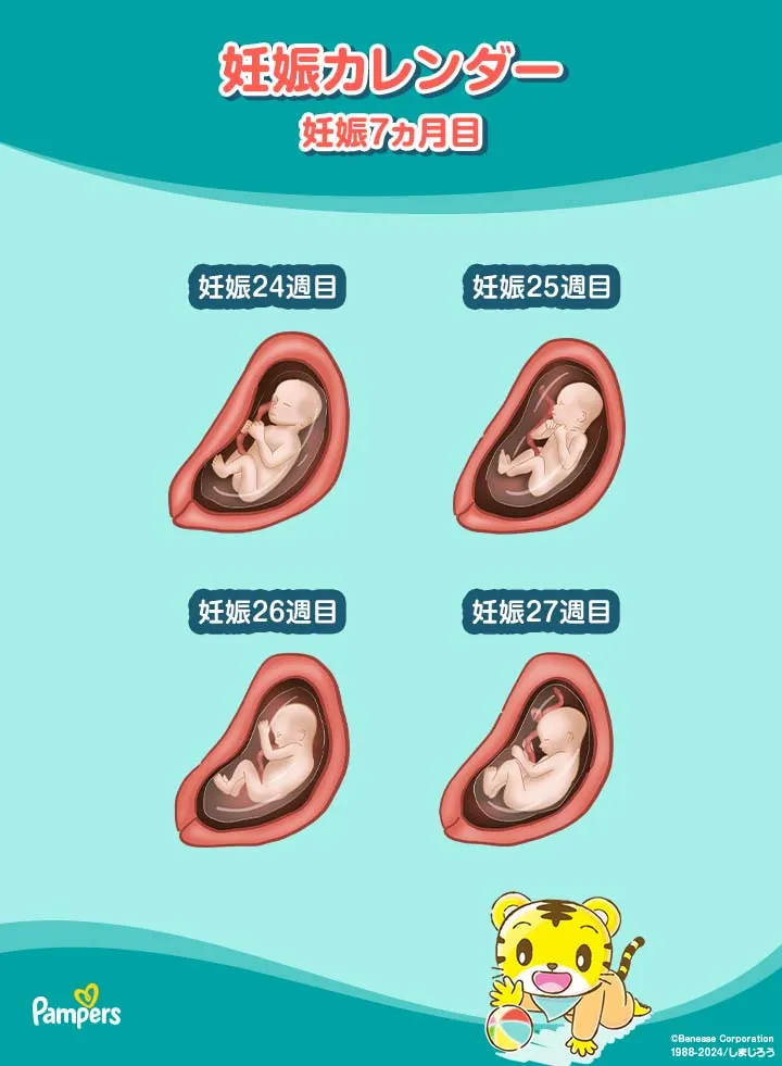 妊娠7ヵ月目 妊娠7ヵ月目