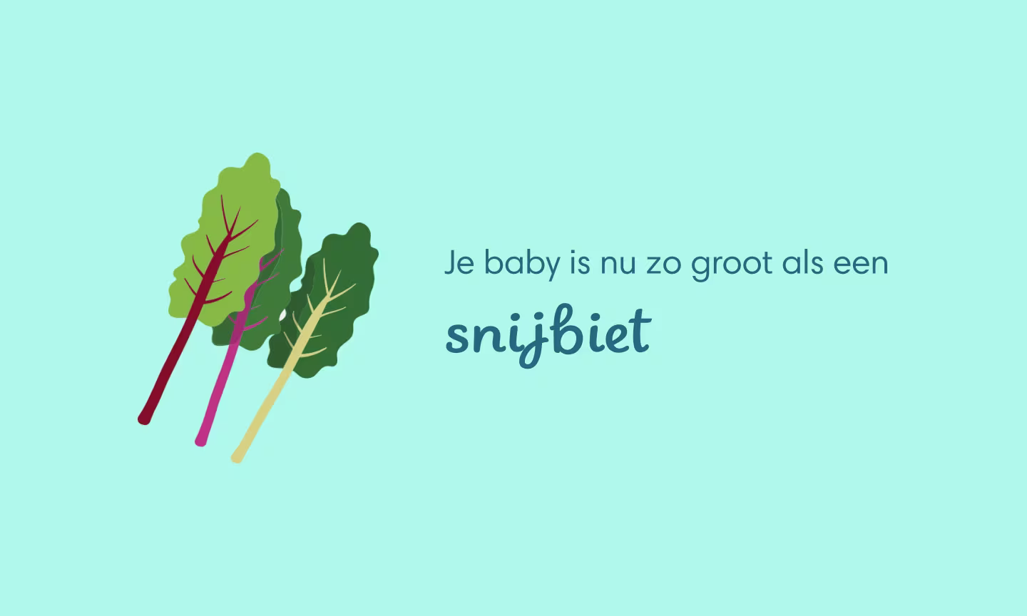 Je baby is nu zo groot als een snijbiet