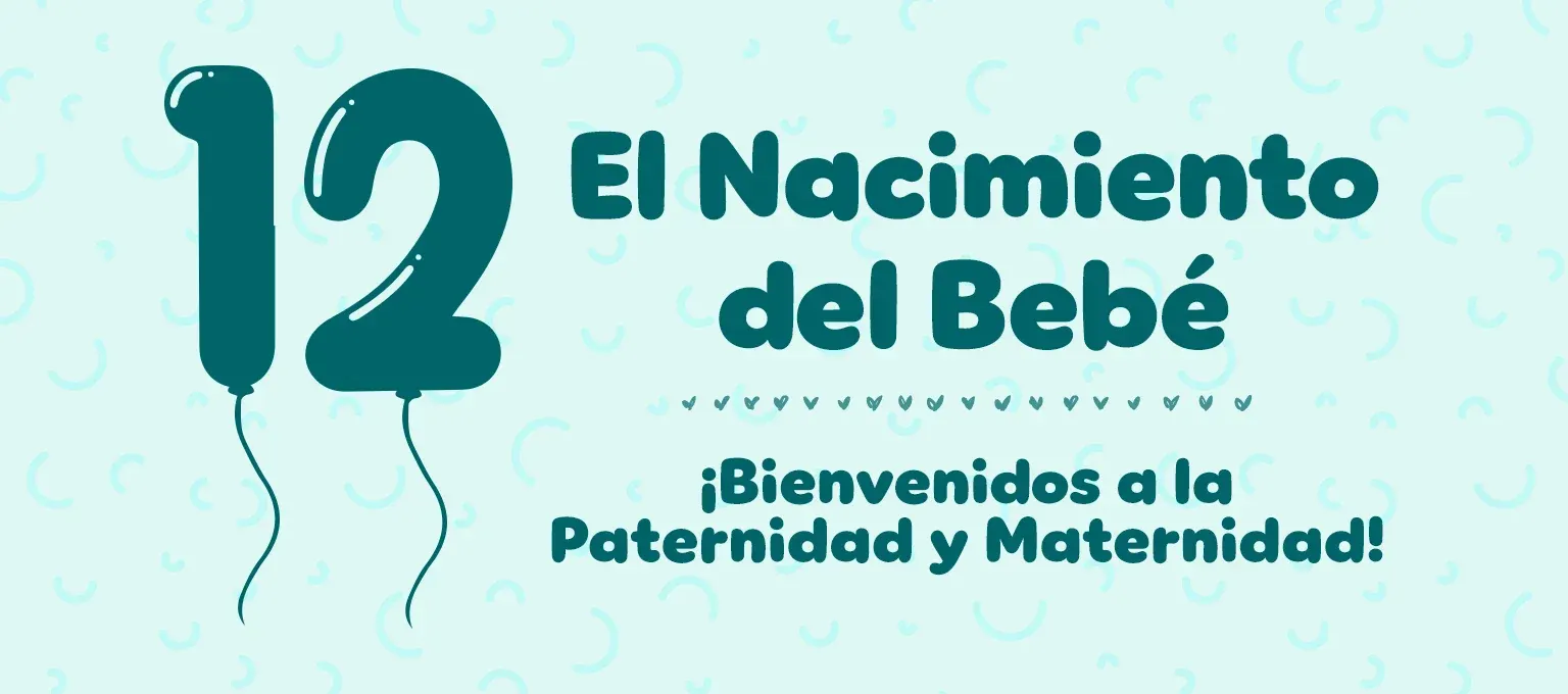 12 meses del bebé 12 meses del bebé