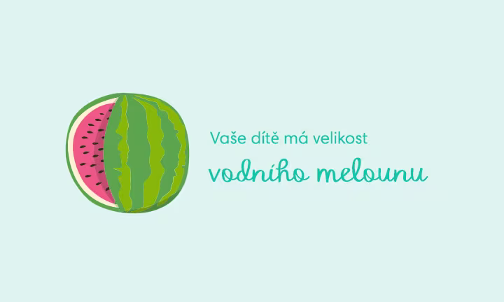 pregnancy-week-by-week-week-39