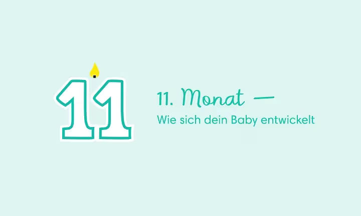 11. Monat