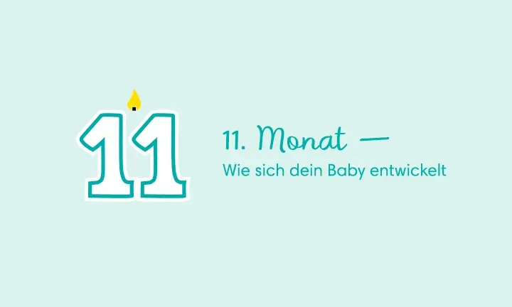 11. Monat