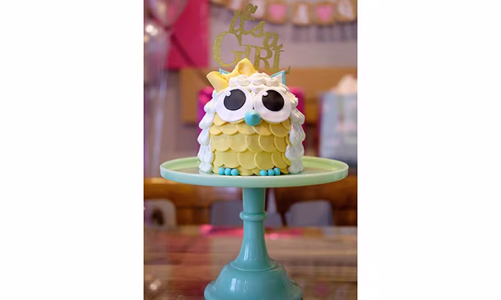 owl baby shower cake