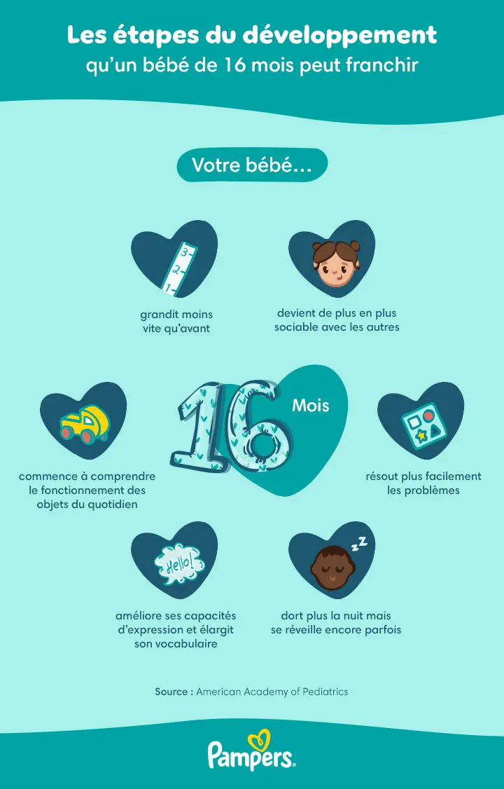 Les étapes du développement à 16 mois Les étapes du développement à 16 mois
