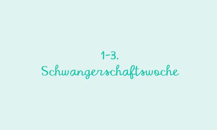 1.–3. Schwangerschaftswoche