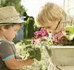 Consejos de jardinería en casa para la familia