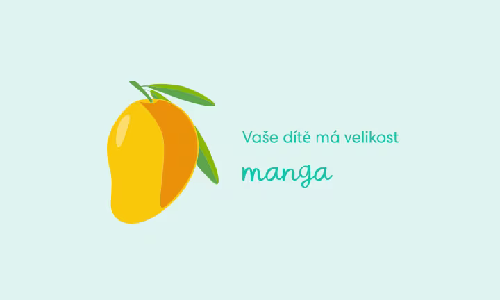 pregnancy-week-by-week-week-19