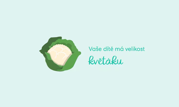 pregnancy-week-by-week-week-27