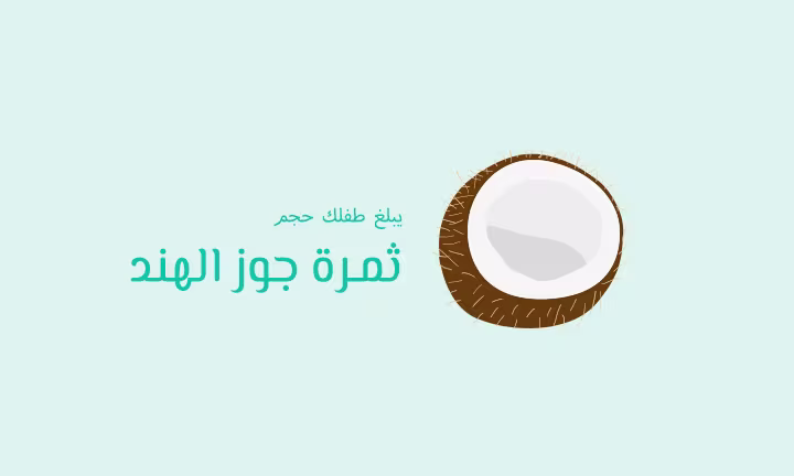 يبلغ طفلك حجم ثمرة جوز الهند