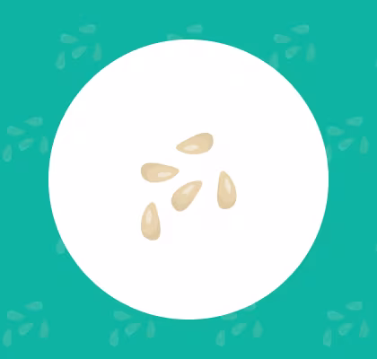 Orange seed icon