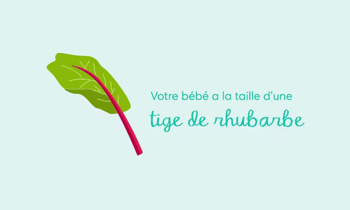 Pregnancy week 38