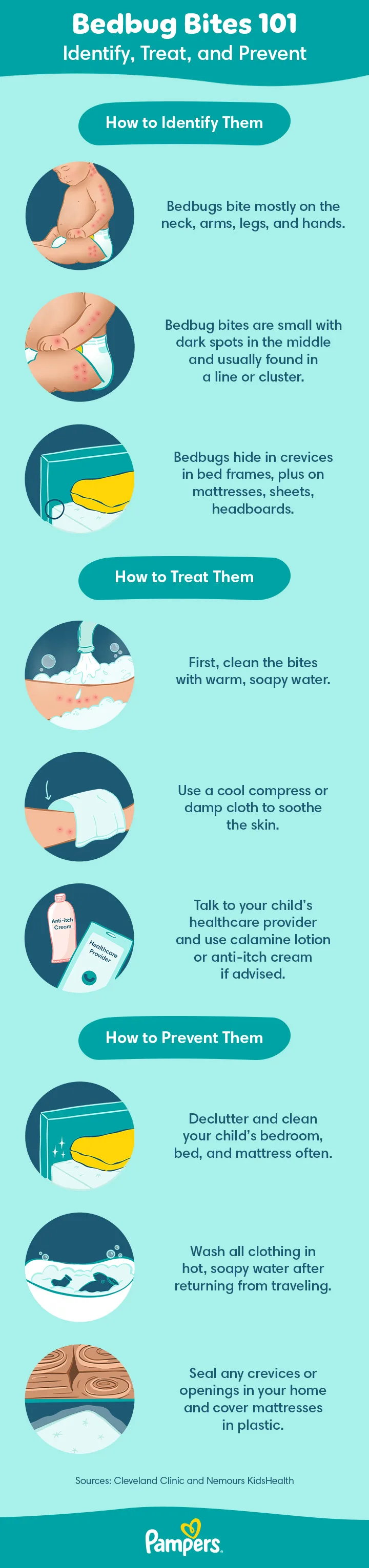 US Pampers Bed Bug Bites