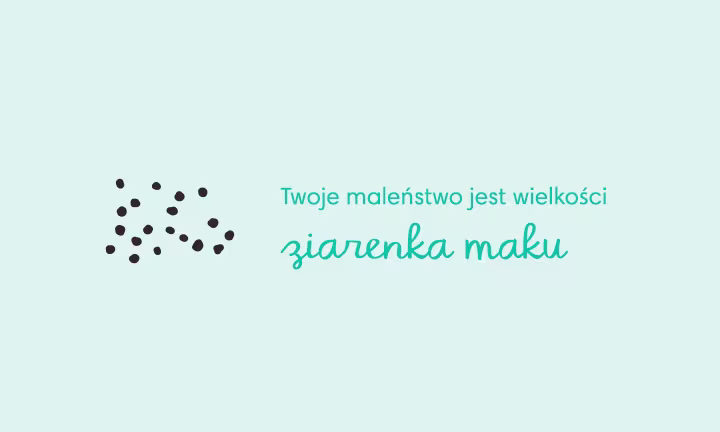 wielkość zarodka w 4 tygodniu ciąży