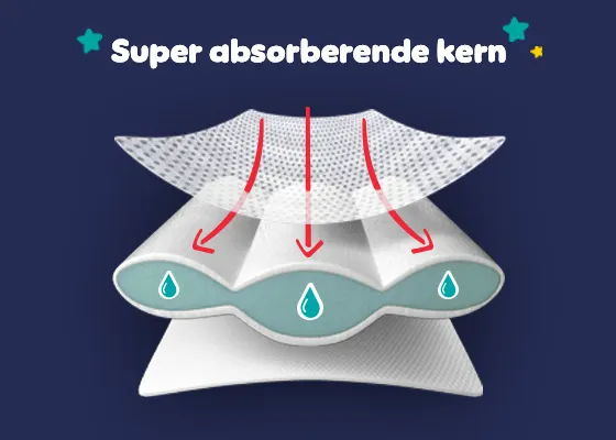 Afbeelding van de absorberende kern