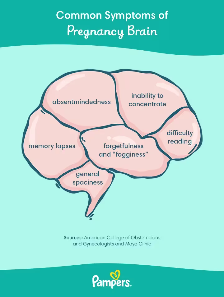 Pregnany Brain