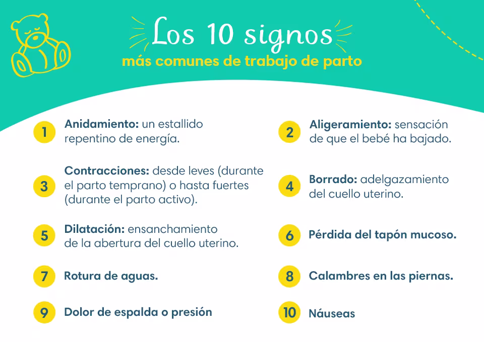los 10 signos los 10 signos