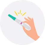 1, 2 i 3 tydzień ciąży