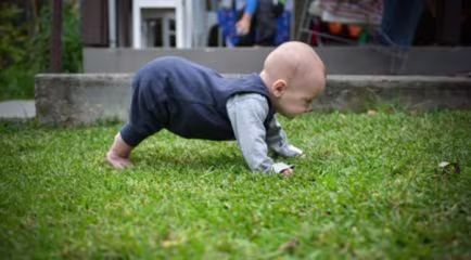 crawling-101-types-of-crawling