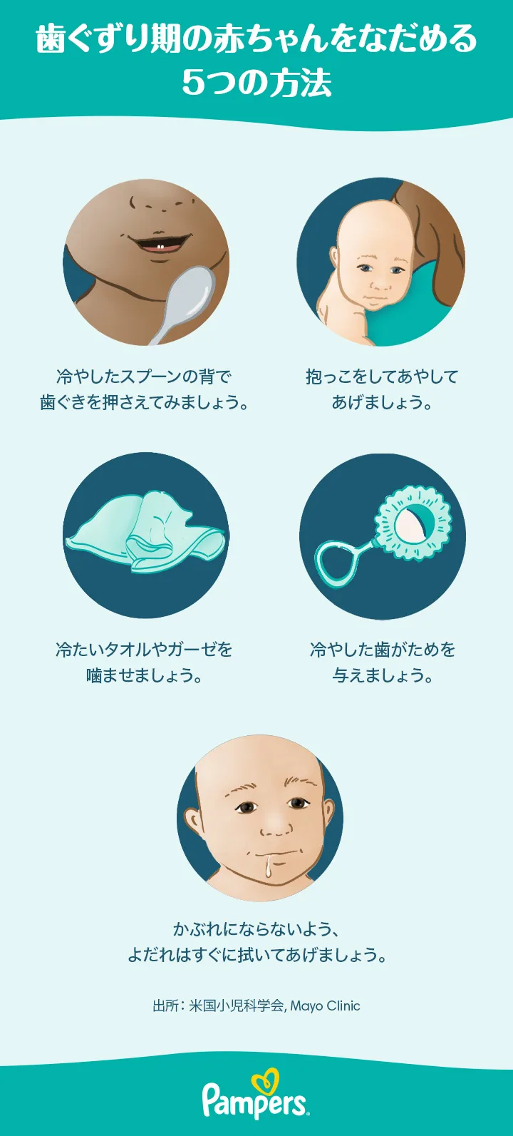 歯 の 生え 始め ケア 歯 の 生え 始め ケア