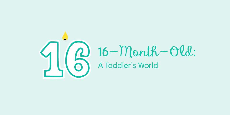 16 Month Old